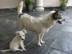 Sitting patiently beside his mom Marisa.