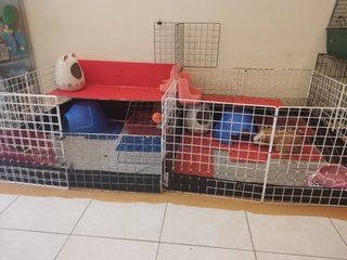 Their cage