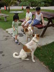 Great dogs with great kids!