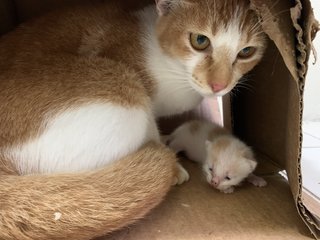 Noelle and her baby (1 week old)