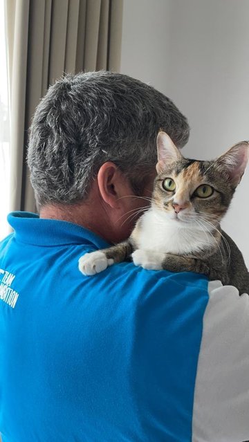 Mary (Now Nugget) - Domestic Short Hair Cat