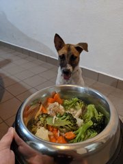 Camy loves veggies!