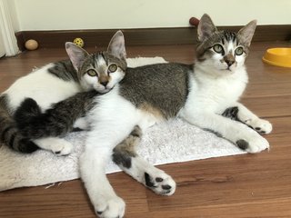 Mia (left) and her brother Milo (right)