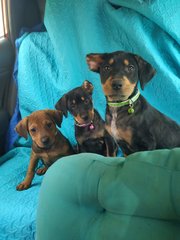 Car ride with my brother and sister