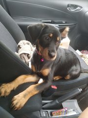 Car ride!