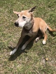 Sunbathing is my Favorite thing