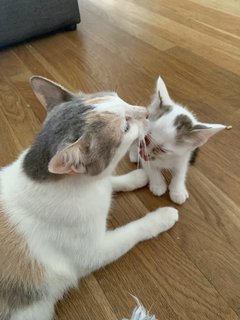 Goldie and her daughter, Aurora