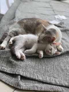 So sweet with her mama, Goldie