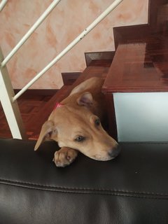 Day dreaming on the stairs.. 