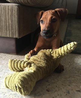 With one of her toys