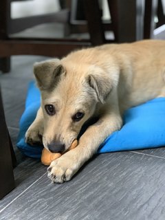 Lili with her new toy 