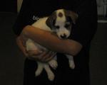 I want a proper cuddle...