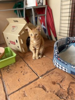 I'm waiting for my food, hooman! 