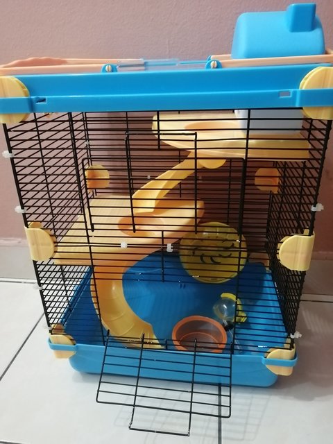 Hamster Cage (Big )  - Roborovsky's Hamster + Short Dwarf Hamster Hamster