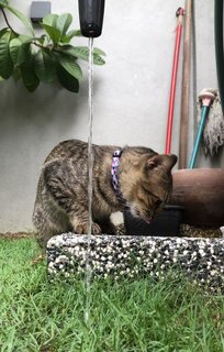 Lovess to play with water as well! Sometimes we just leave him by the sink to play with the tap