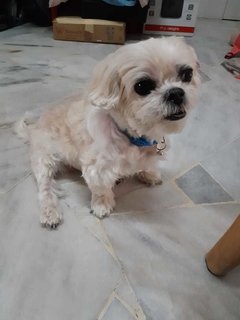 Yuki