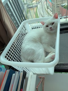 I love laundry basket