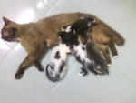 nenen time! hihi