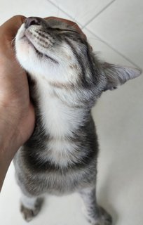 Yesss that's the spot!