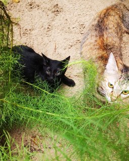 Me and mom on vacation in Kapas. We love sand! 