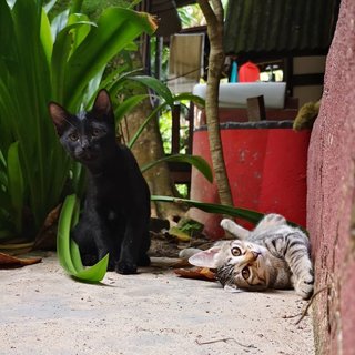 Pablo and me in Kapas Island