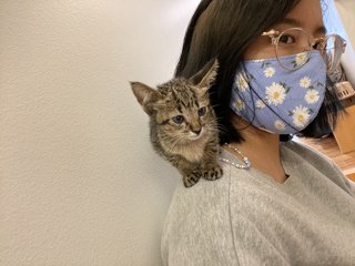 bb's first vet visit