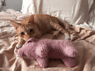 I love knitted toys