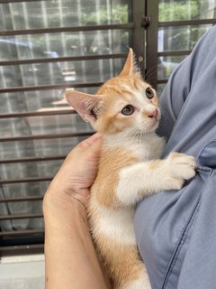 My name is ginger. Female