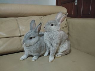 Timmy (on the right) with his sister at a few months old