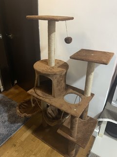 Cat Tree you will receive