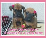 2cute little girls