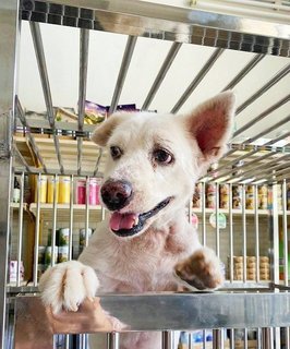 stormy overlooking the food prep at his shelter