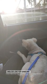 he loves the sun..but not the ride