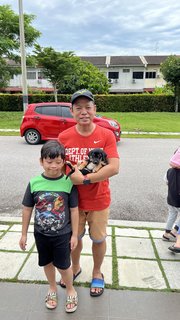 Little Brownie  - Mixed Breed Dog