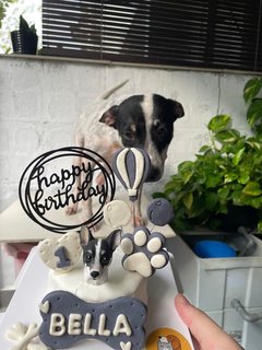 Bella's first birthday cake