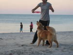 penang beach-he loves it!