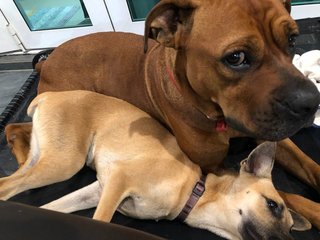 Coffee & Coco 
