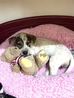 Laying in my bed with Stripey Teddy ❤️