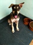 Cute boy Popeye with yin-yang ears