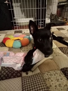 Dena's first night at home, age 3 months