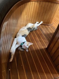 Stretched out and lounging on our boat!