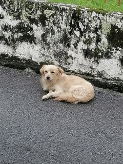 sitting at housing area backlane