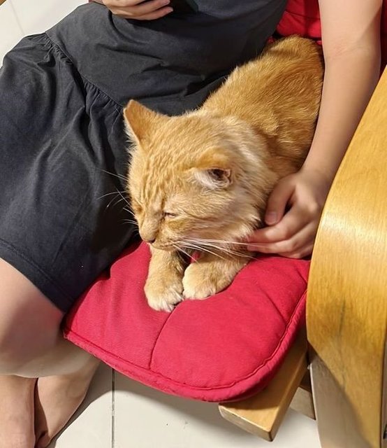 Having a reassuring snuggle-in during a thunderstorm