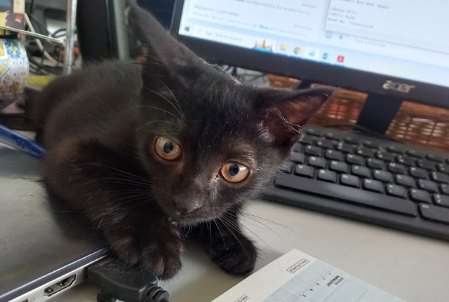 Can I help you with your work?