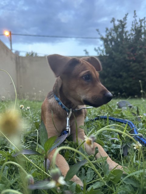 Just chillin on her favorite grass