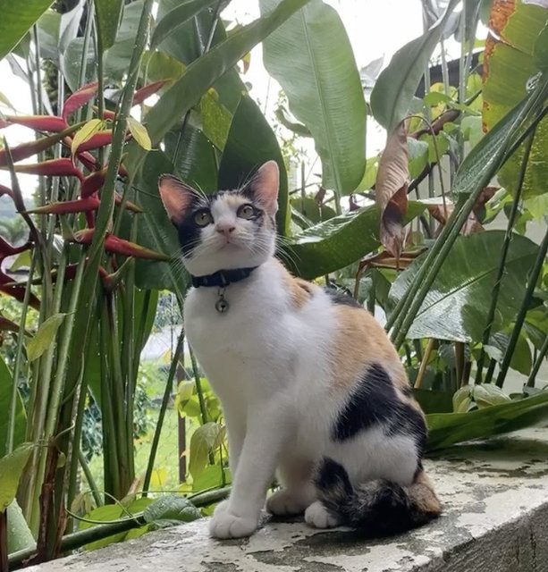 Enjoying the greenery