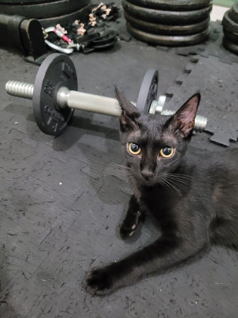 Gym buddy Carmilla