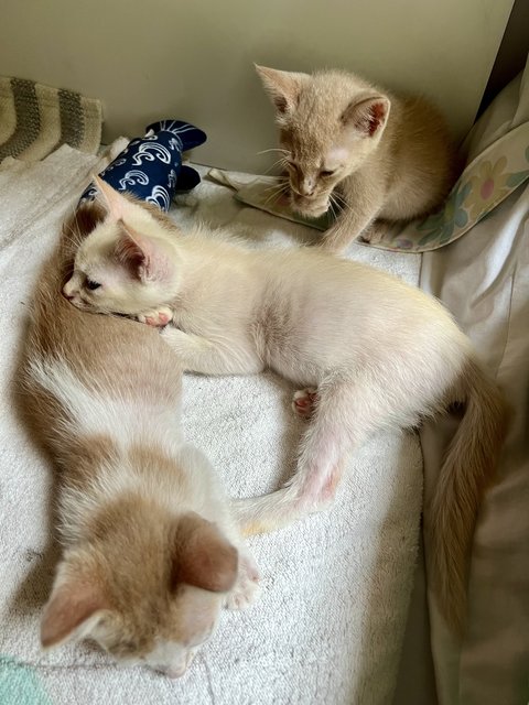 nap time. when your sister makes a comfy pillow