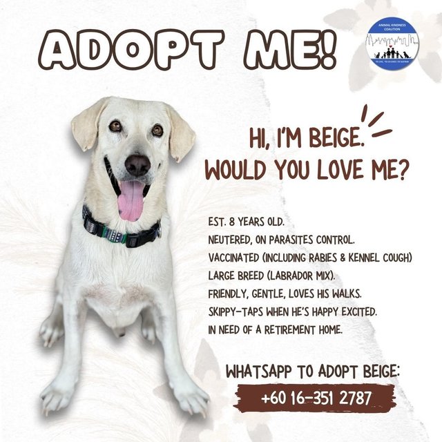 Adopt Me Poster