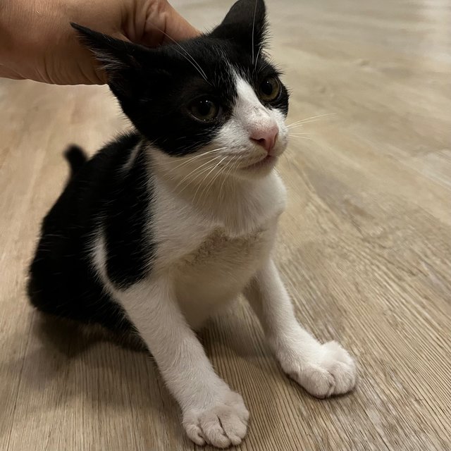 Baby Willy